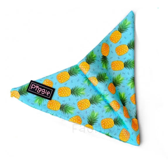 Caribbean Tie On Dog Bandana - Piggie - 2