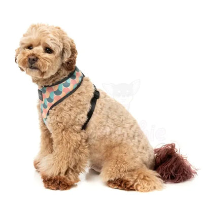 Carioca Dog Harness by Fuzzyard - Fuzzyard - 4