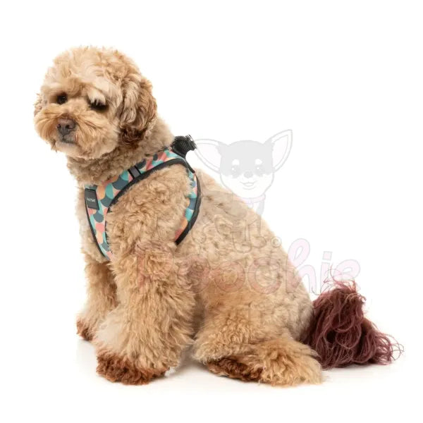 Carioca Step in Dog Harness by Fuzzyard Fuzzyard 7