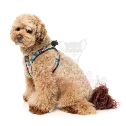Carioca Step in Dog Harness by Fuzzyard Fuzzyard 7