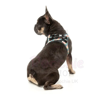 Carioca Step in Dog Harness by Fuzzyard Fuzzyard 4