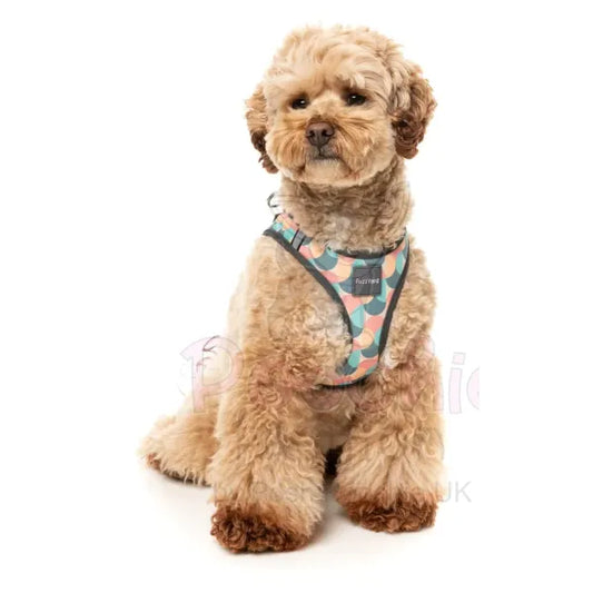 Carioca Step in Dog Harness by Fuzzyard Fuzzyard 2