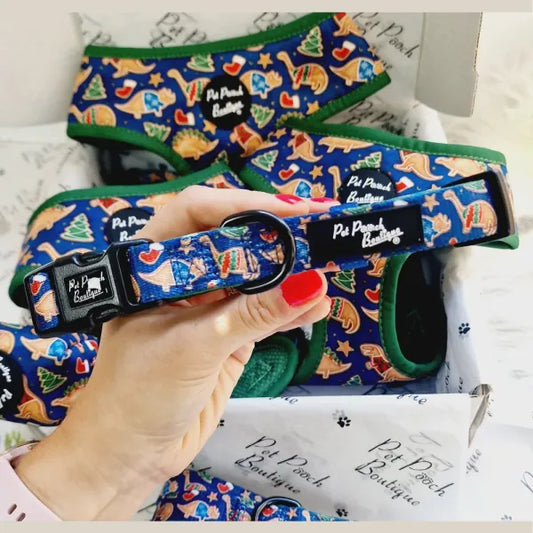 Christmas Dino Rawr Dog Collar Pet Pooch 1