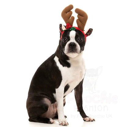 Christmas Dog Reindeer Antlers by Fuzzyard - Fuzzyard - 4