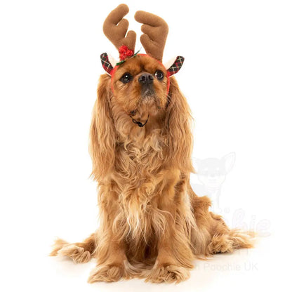 Christmas Dog Reindeer Antlers by Fuzzyard - Fuzzyard - 2