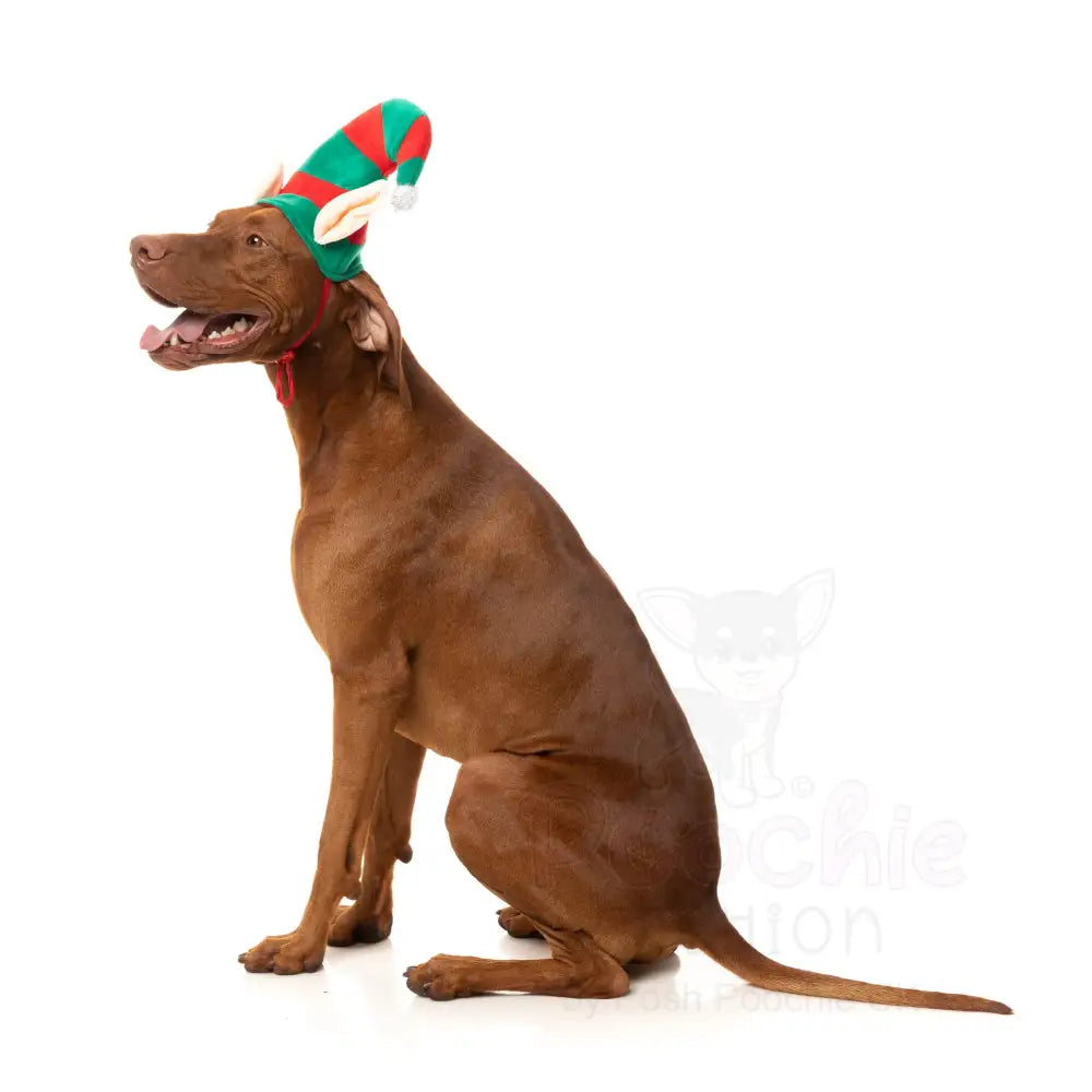 Christmas Elf Dog Hat by Fuzzyard - Fuzzyard - 3