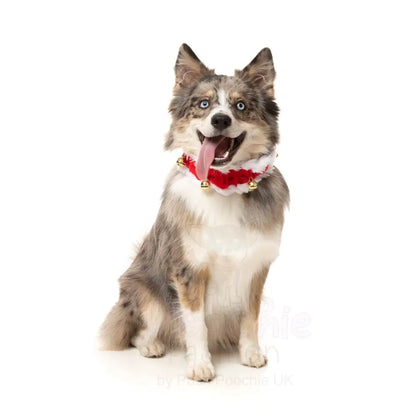 Christmas Jingle Bells Collar by Fuzzyard - Fuzzyard - 3