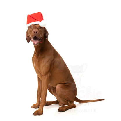 Christmas Santa Dog Hat by Fuzzyard - Fuzzyard - 3