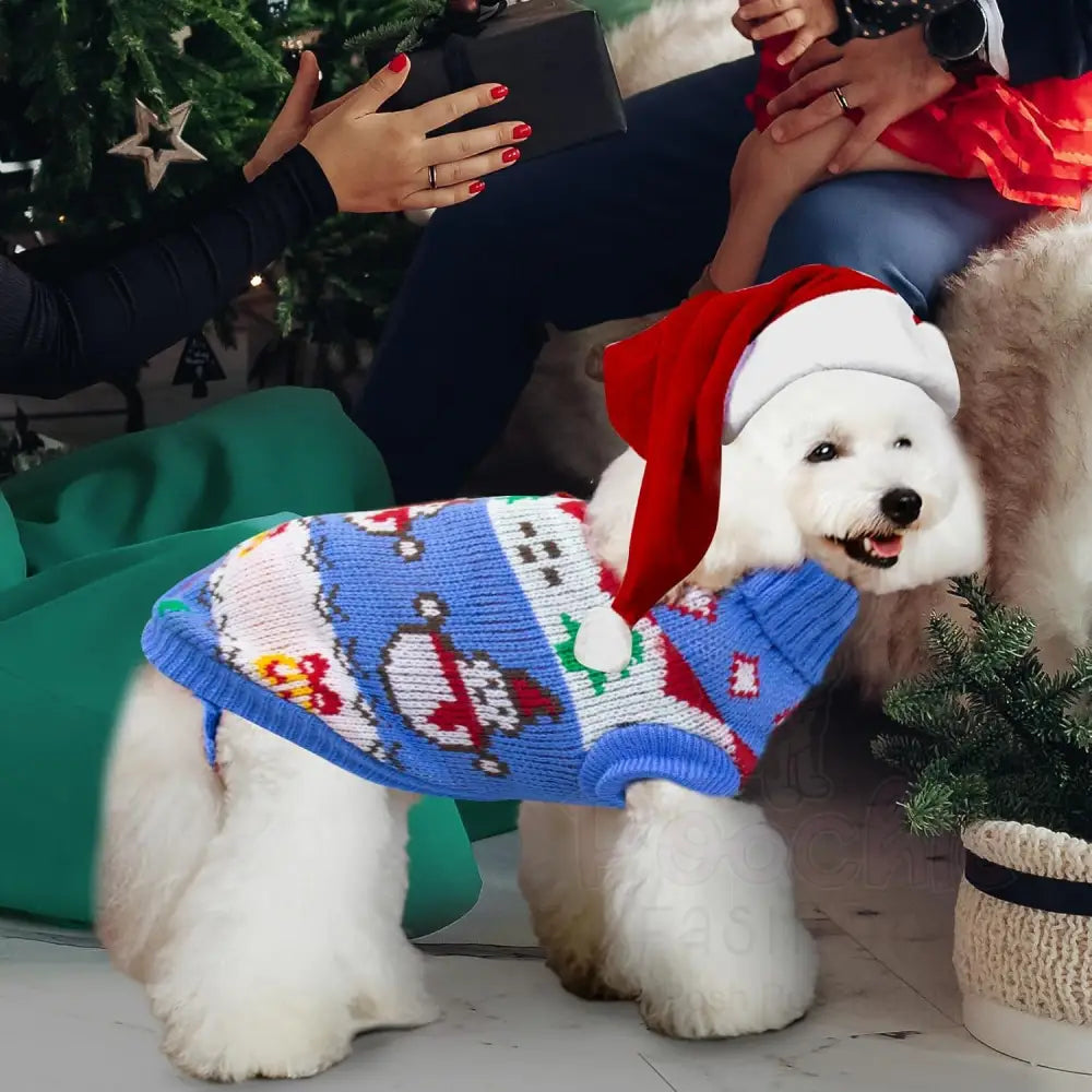 Christmas Snowman Dog Jumper in Blue - Posh Pawz - 3