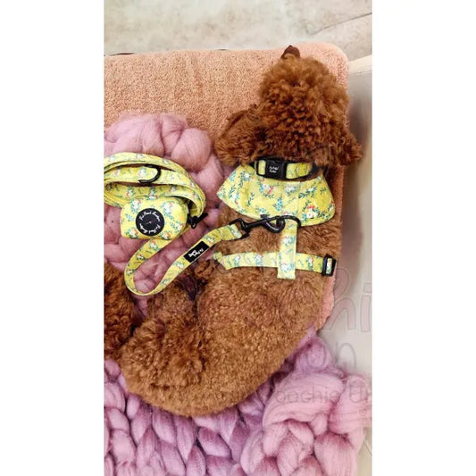 Citrus Meadow Floral Dog Poo Bag Holder - Pet Pooch - 2