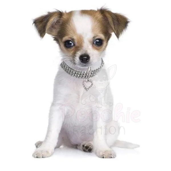 Clear Rhinestone Crystal Pet Necklace with Heart Pendant - Posh Pawz - 4