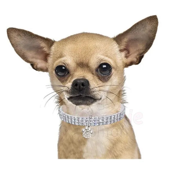Clear Rhinestone Crystal Pet Necklace with Paw Pendant - Posh Pawz - 3