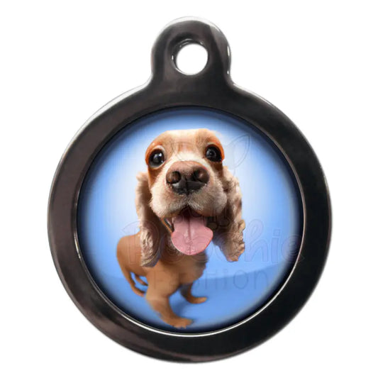 Cocker Spaniel Fish Eye Dog Id Tag - Ps Pet Tags - 1