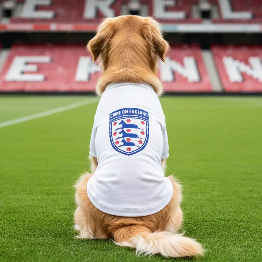 Come on England Dog Football Shirt - Poochie Fashion - 1