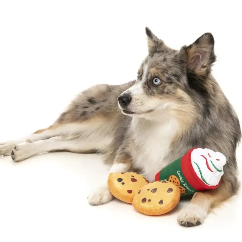 Cookie Kringle Puppuccino & Cookies 3 Pk Christmas Dog Toys by Fuzzyard - Fuzzyard - 2
