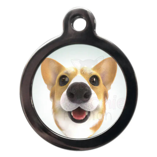 Corgi Fish Eye Dog Id Tag - Ps Pet Tags - 1