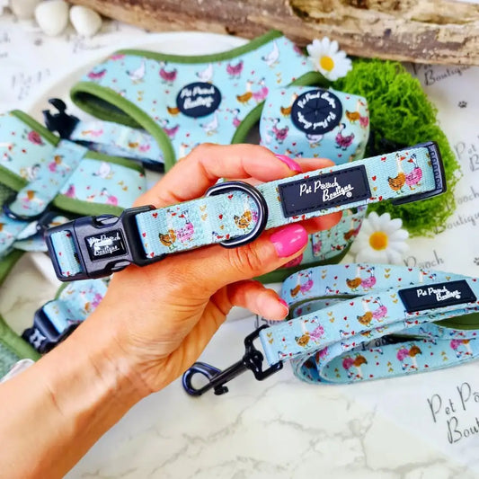 Countryside Ducks Dog Collar - Pet Pooch - 1