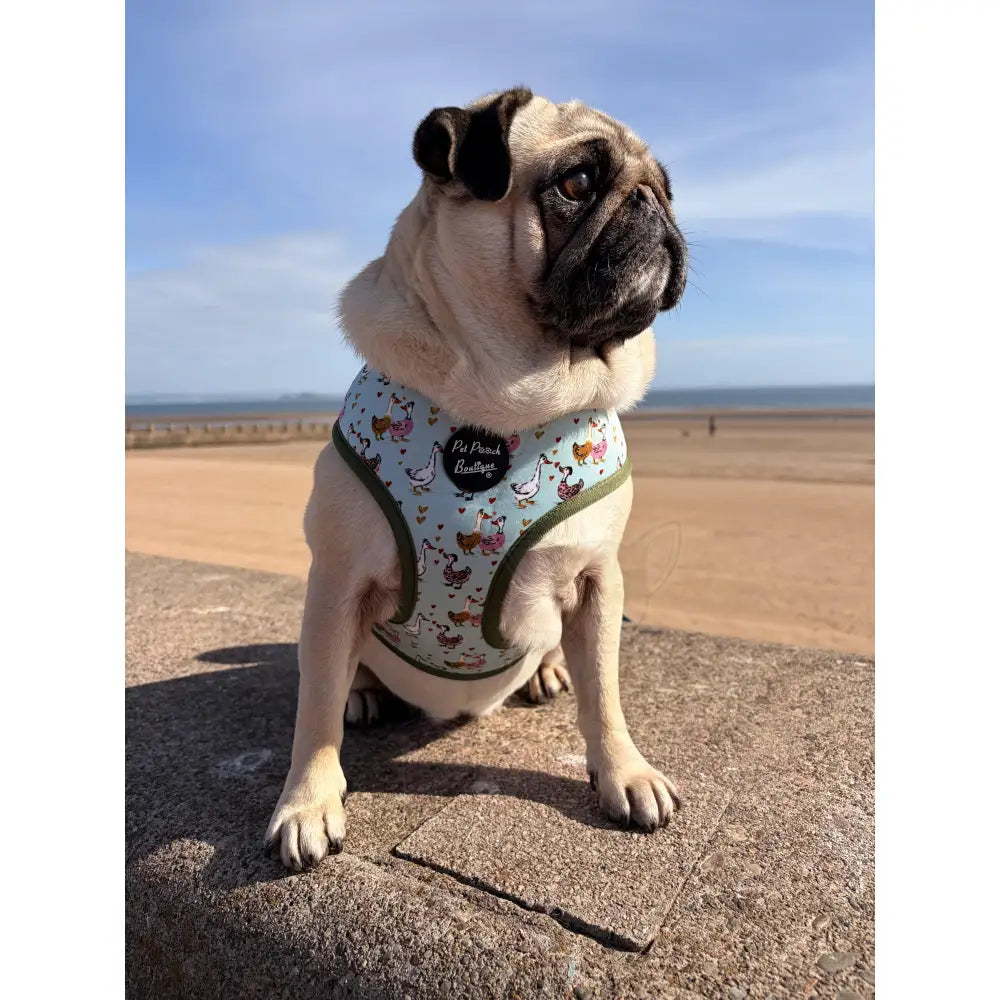 Countryside Ducks Dog Harness - Pet Pooch - 5