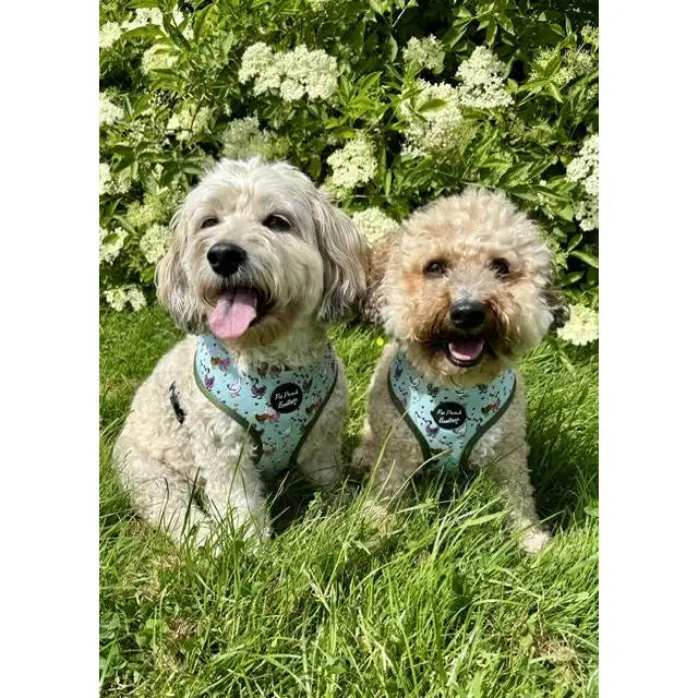 Countryside Ducks Dog Harness - Pet Pooch - 4