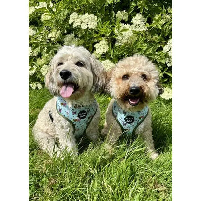 Countryside Ducks Dog Harness - Pet Pooch - 4