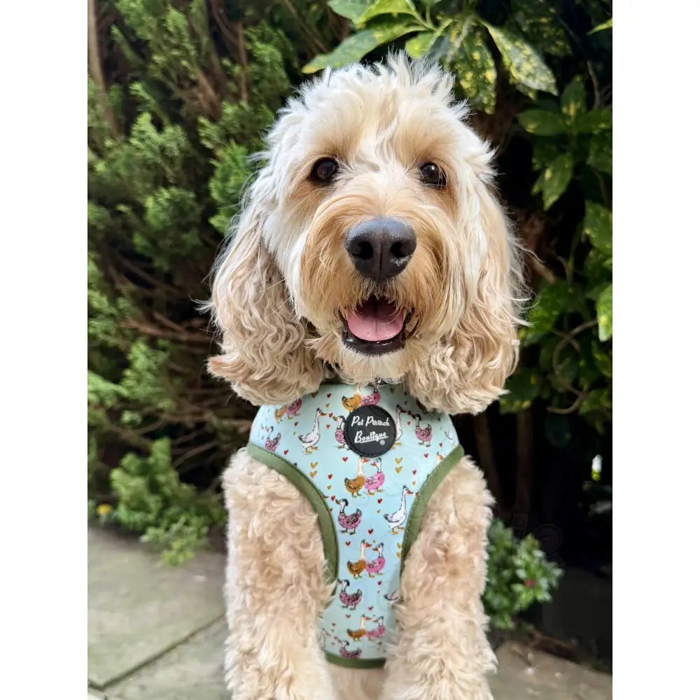 Countryside Ducks Dog Harness - Pet Pooch - 3