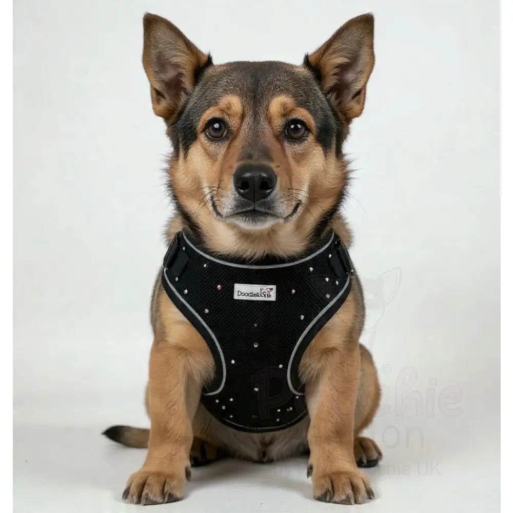 Crystal Air Mesh Dog Harness in Black - Poochie Fashion - 7