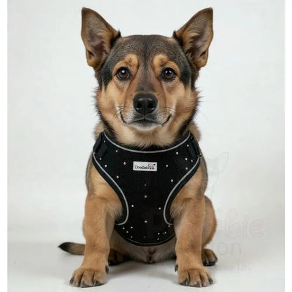 Crystal Air Mesh Dog Harness in Black - Poochie Fashion - 7