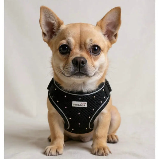 Crystal Air Mesh Dog Harness in Black - Poochie Fashion - 1