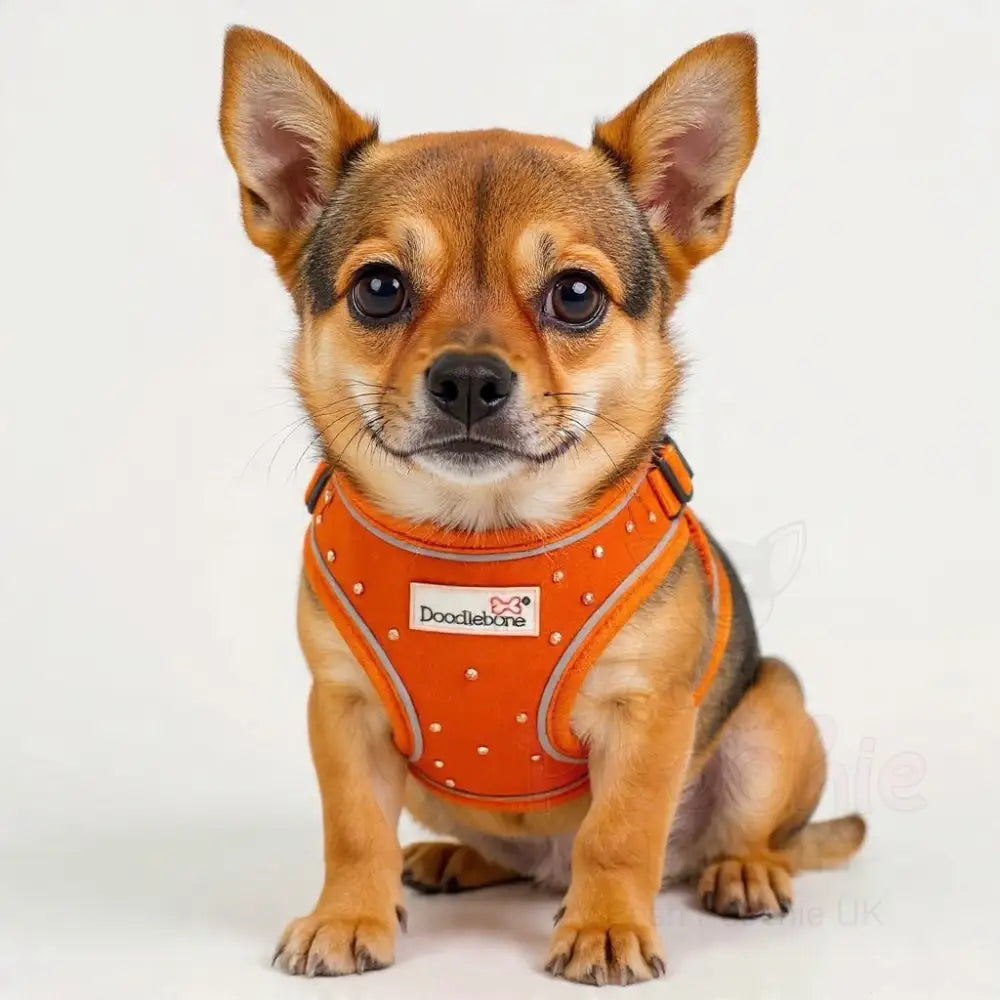 Crystal Air Mesh Dog Harness in Orange - Poochie Fashion - 3