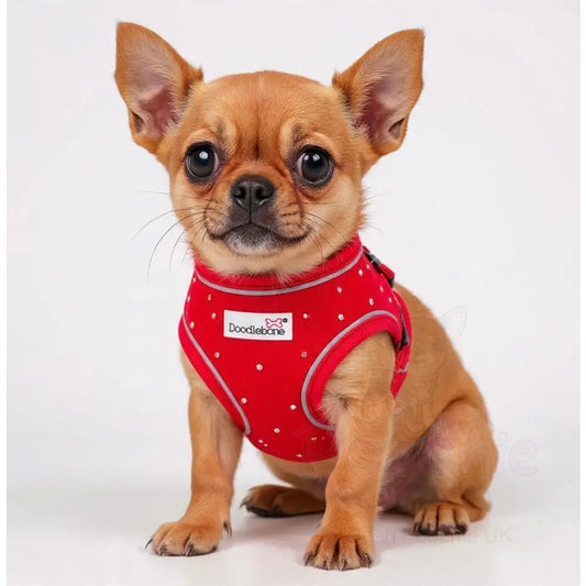 Crystal Air Mesh Dog Harness in Ruby Red - Poochie Fashion - 2