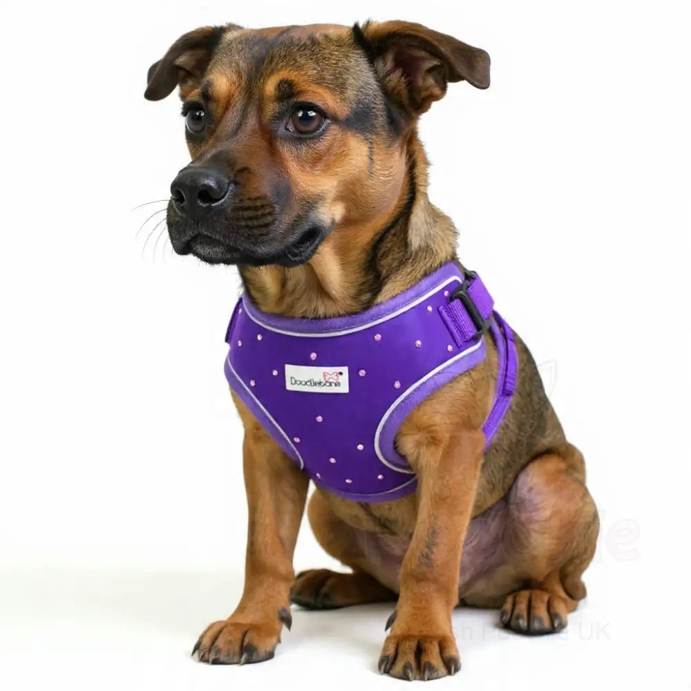 Crystal Air Mesh Dog Harness in Violet Purple - Poochie Fashion - 3