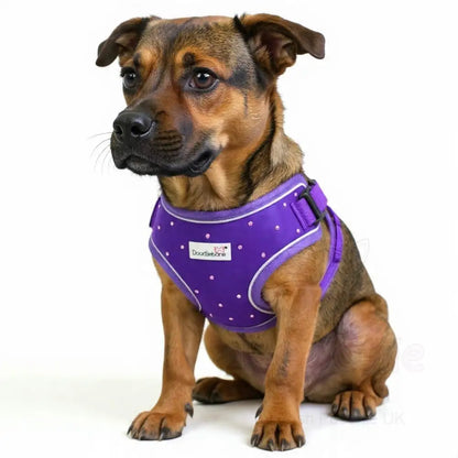 Crystal Air Mesh Dog Harness in Violet Purple - Poochie Fashion - 3