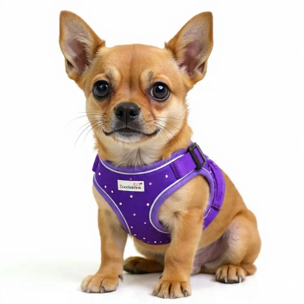 Crystal Air Mesh Dog Harness in Violet Purple - Poochie Fashion - 1