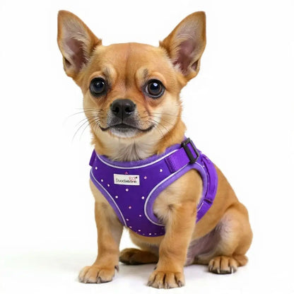Crystal Air Mesh Dog Harness in Violet Purple - Poochie Fashion - 1