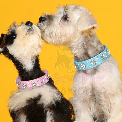 Crystal Flowers Dog Collar in Aqua Blue - Posh Pawz - 3