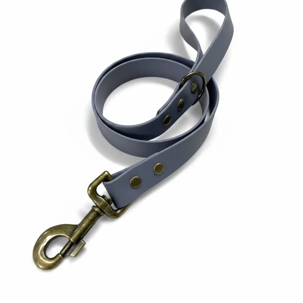 Custom Biothane Waterproof Dog Collars - Poochie Fashion - 11