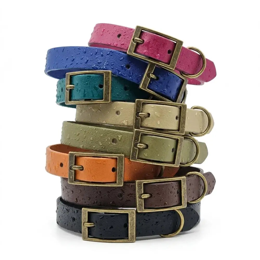Custom Biothane Waterproof Dog Collars - Poochie Fashion - 4