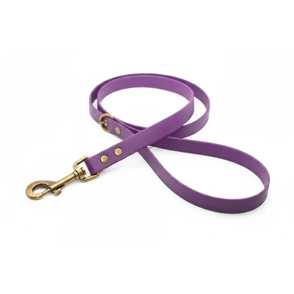 Custom Biothane Waterproof Dog Leads - Poochie Fashion - 8