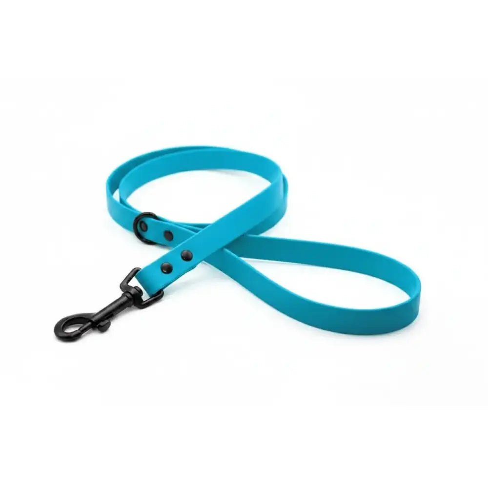 Custom Biothane Waterproof Dog Leads - Poochie Fashion - 7