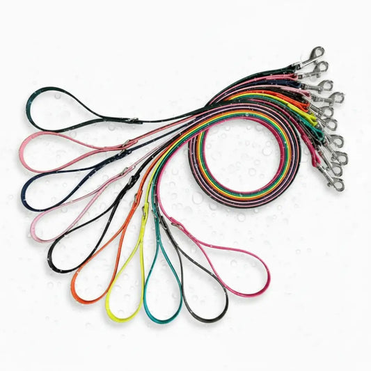 Custom Biothane Waterproof Dog Leads - Poochie Fashion - 1