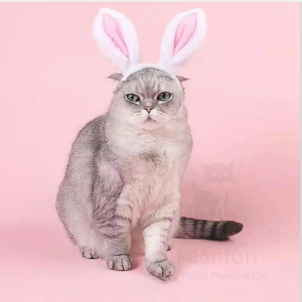 Cute Bunny Ears Pet Headband - Posh Pawz - 5