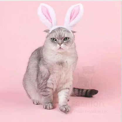 Cute Bunny Ears Pet Headband - Posh Pawz - 5