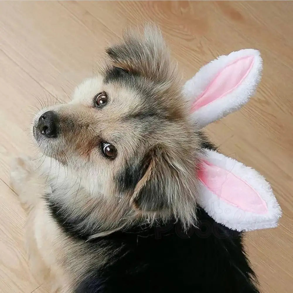 Cute Bunny Ears Pet Headband - Posh Pawz - 2