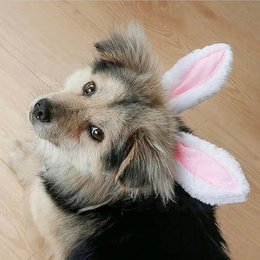 Cute Bunny Ears Pet Headband - Posh Pawz - 2