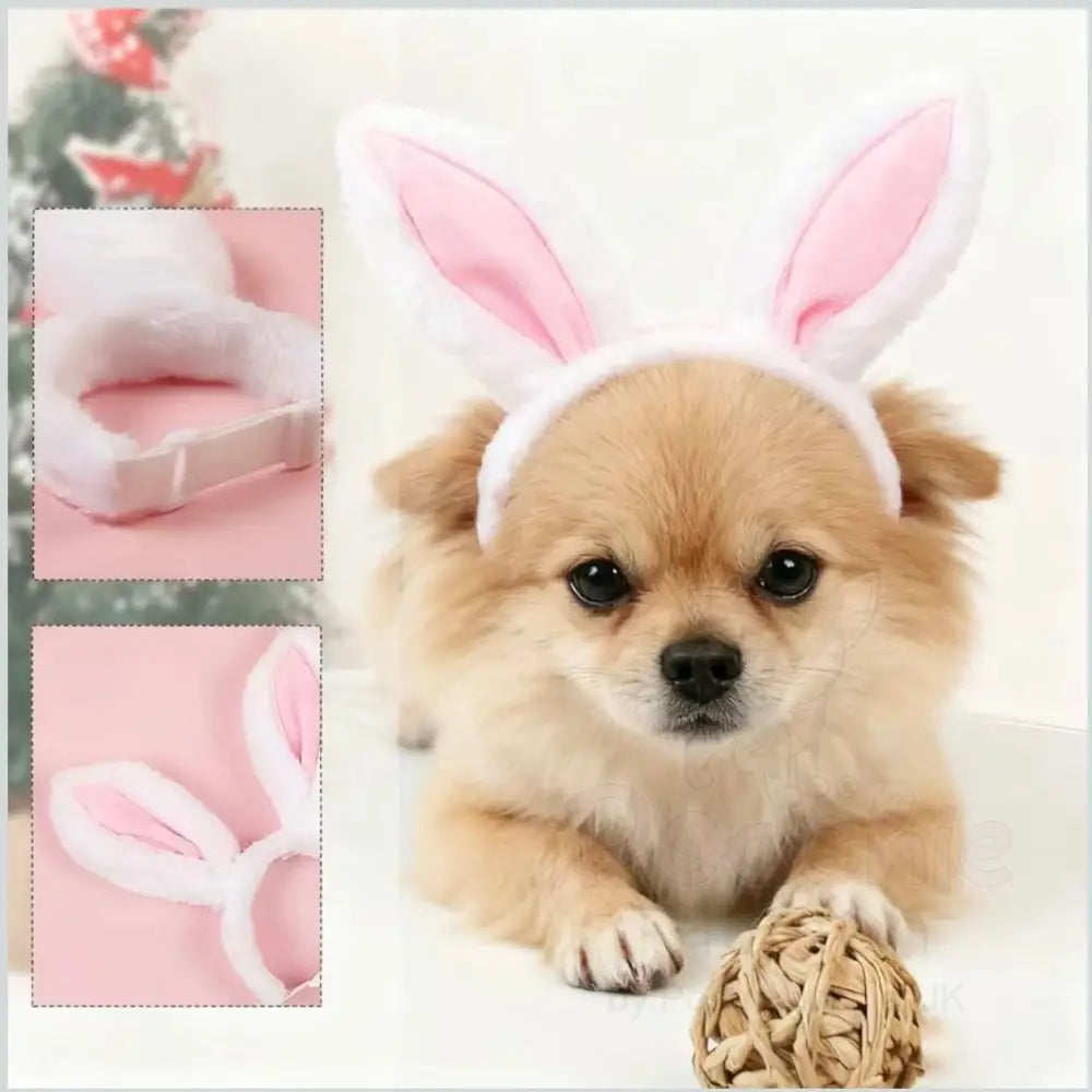 Cute Bunny Ears Pet Headband - Posh Pawz - 4