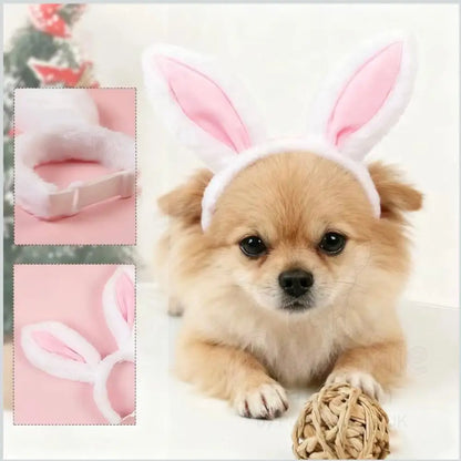 Cute Bunny Ears Pet Headband - Posh Pawz - 4