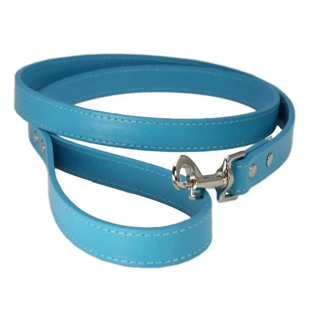 Cyan Blue Plain Leather Dog Lead - Poochie Fashion - 1