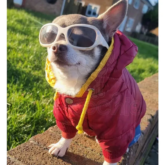 Deep Red Puffa Insulated Designer Dog Coat - Urban Pup - 2