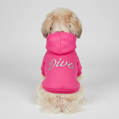 Diva Dog Hoodie Sweatshirt in Hot Pink - Rich Paw - 1