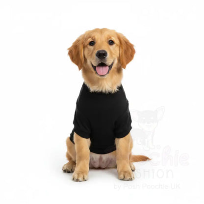 Diva Dog T-shirt - Poochie Fashion - 4